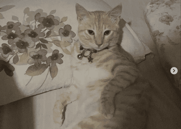 Gören ulaşsın lütfen