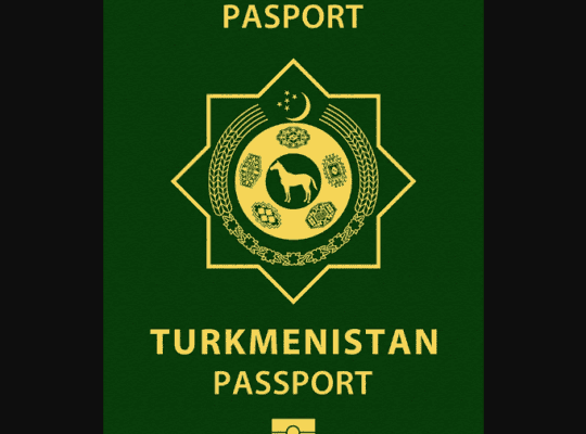 Kayıp Pasaport